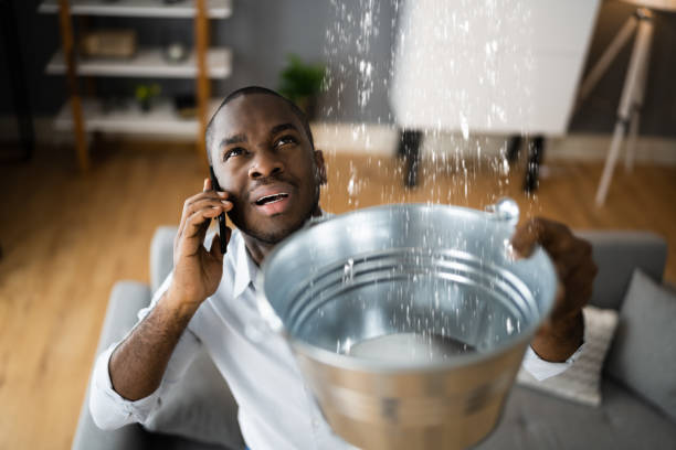 Best Water damage restoration mold remediation  in Halsey, OR