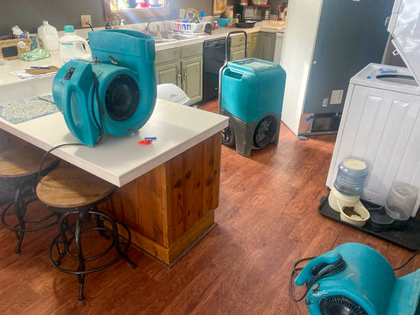 Best Local water damage restoration  in Halsey, OR