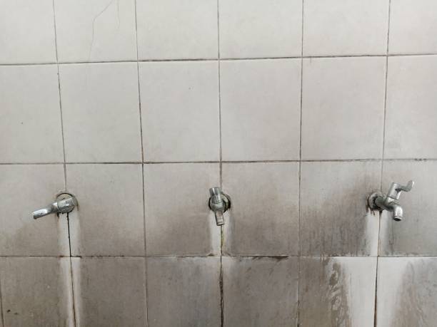 Best Water damage contractors near me  in Halsey, OR