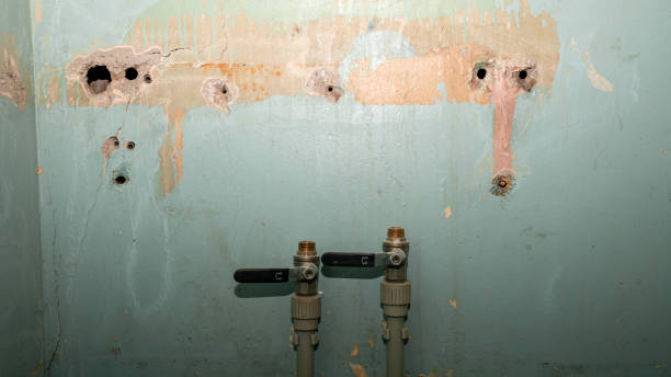 Best Emergency water damage restoration  in Halsey, OR